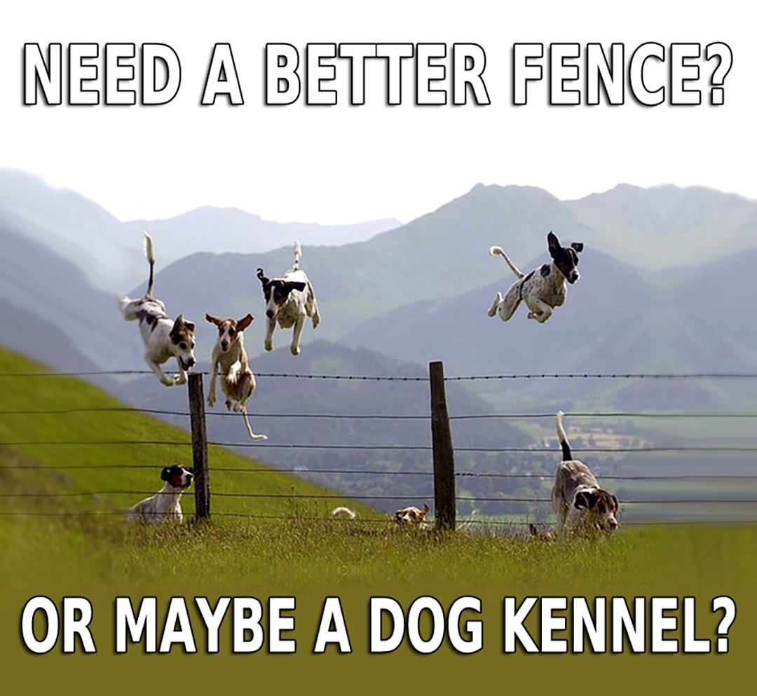 Dogs jumping over fence